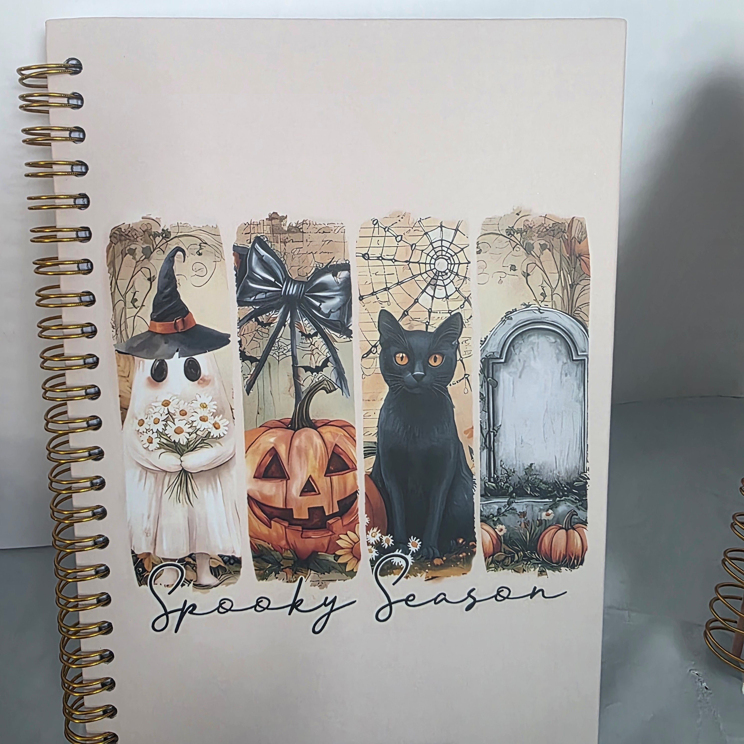 Premier Journal Bundle with Mystery Scoop (10)